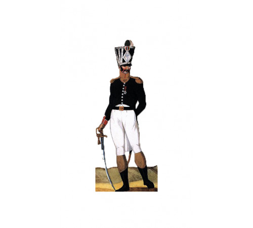 Garde Presidentielle Soldat De Plomb 1er Empire DELPRADO Officier Régiment Hesse Darmstadt 1812