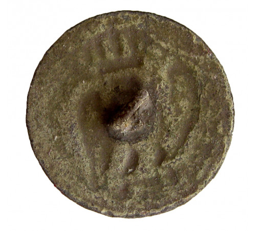 Button Imperial Guard regiment. France.