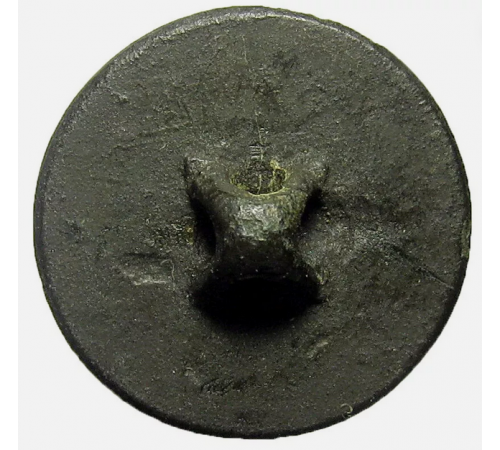 Button button Polish 4th regiment  line infantry in French service.
