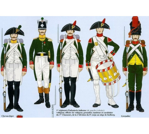 The Kingdom of Italy. The line infantry. The 1st regiment.