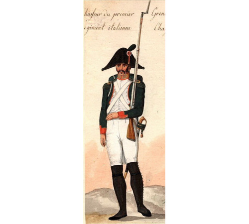 The Kingdom of Italy. The line infantry. The 1st regiment.