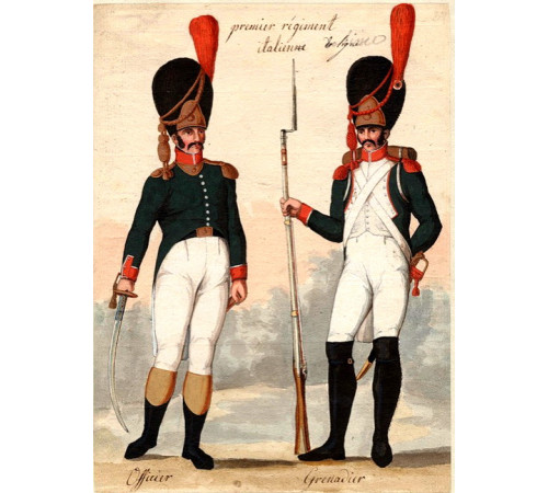 The Kingdom of Italy. The line infantry. The 1st regiment.