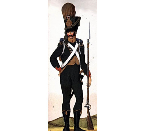 The Kingdom of Italy. The Light infantry. The 1st regiment.