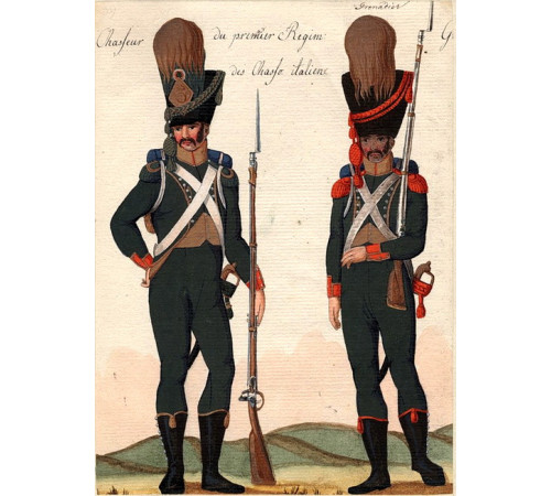 The Kingdom of Italy. The Light infantry. The 1st regiment.
